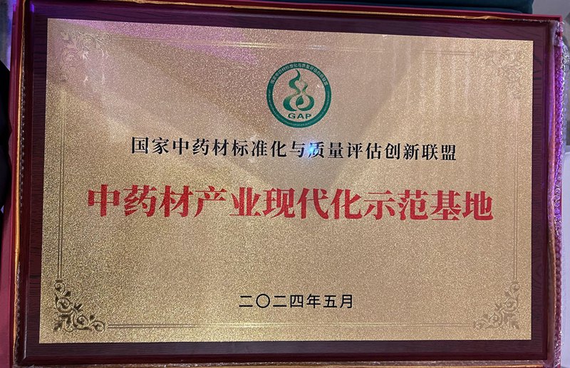 中药产业现代化示范基地（2024）