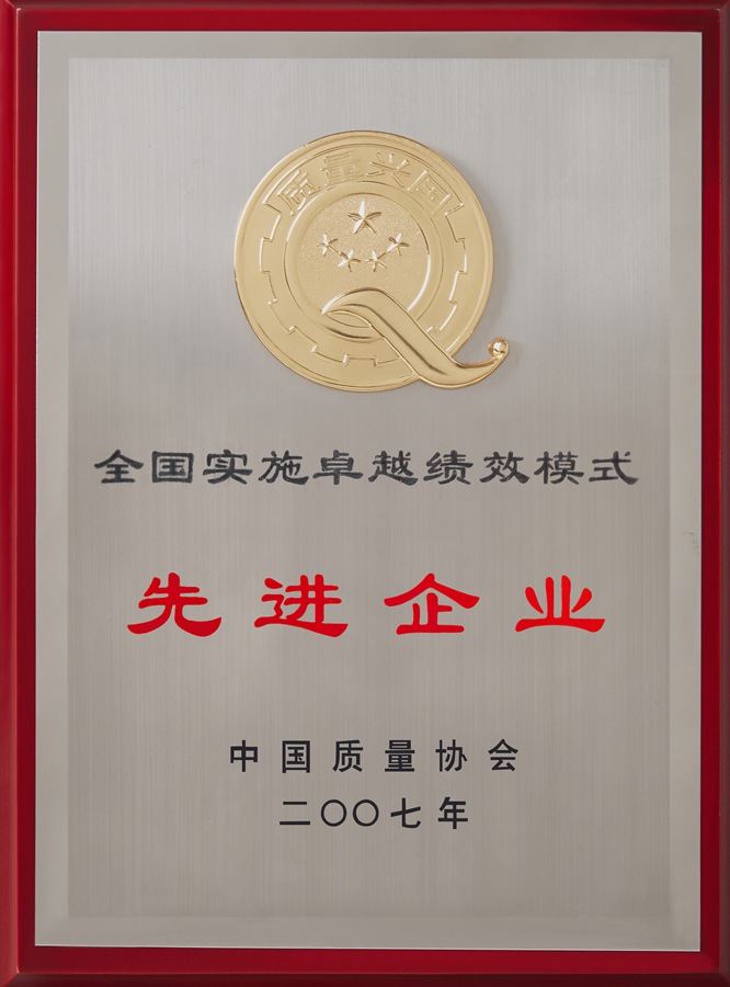 全国实施卓越绩效模式先进企业（2007）